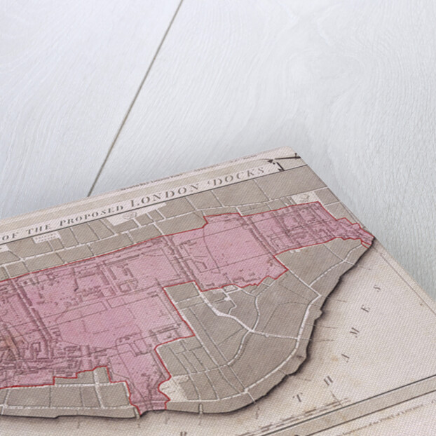 Plan for the proposed London Docks, Stepney by Anonymous