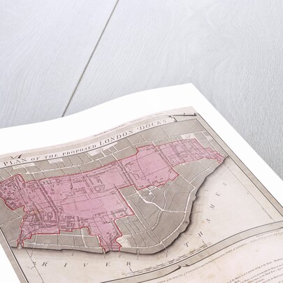 Plan for the proposed London Docks, Stepney by Anonymous