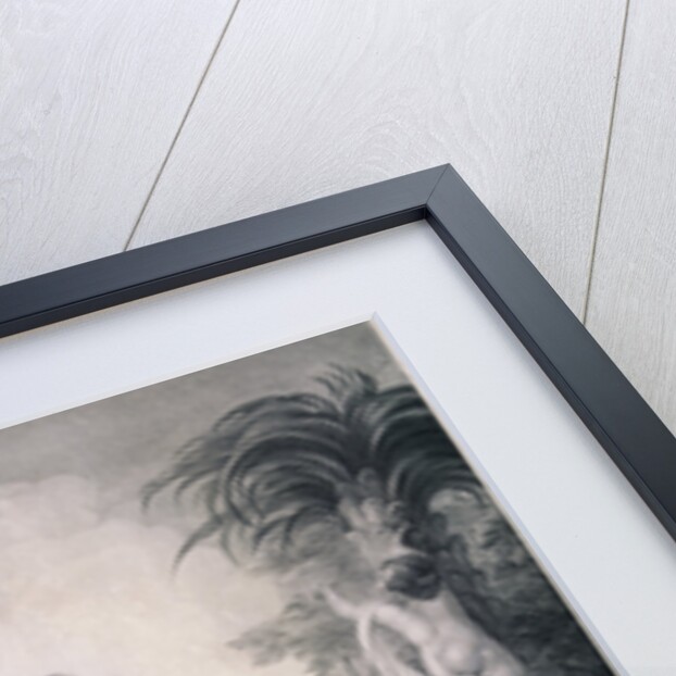 Innocence by Benjamin Smith