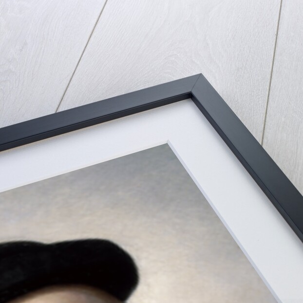 General Garibaldi by Felice Barucco