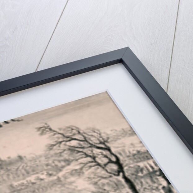 Royal Procession of King William III by Romeyn de Hooghe