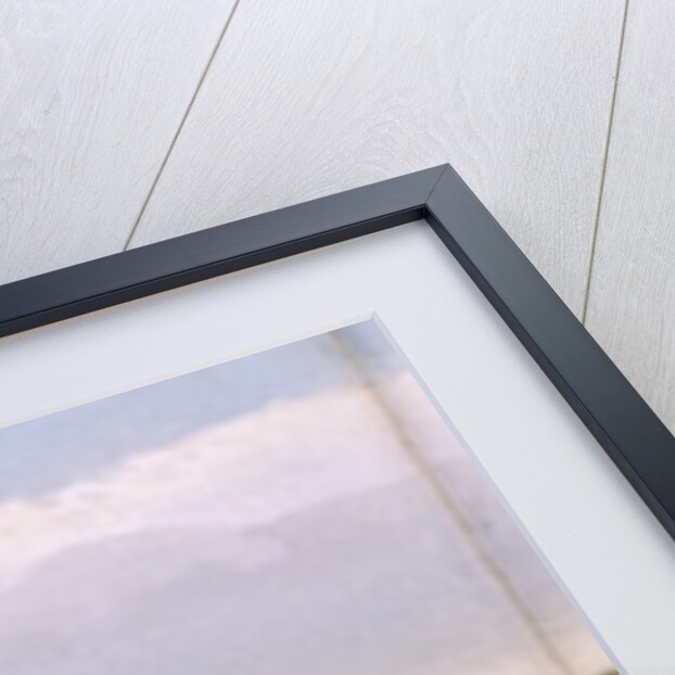 Regent's Park, London by Anonymous