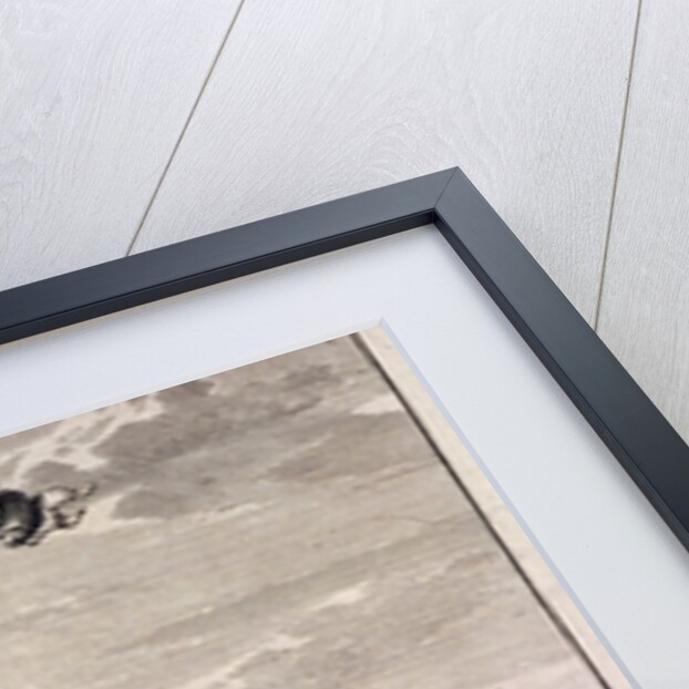 Monument, London by Anonymous