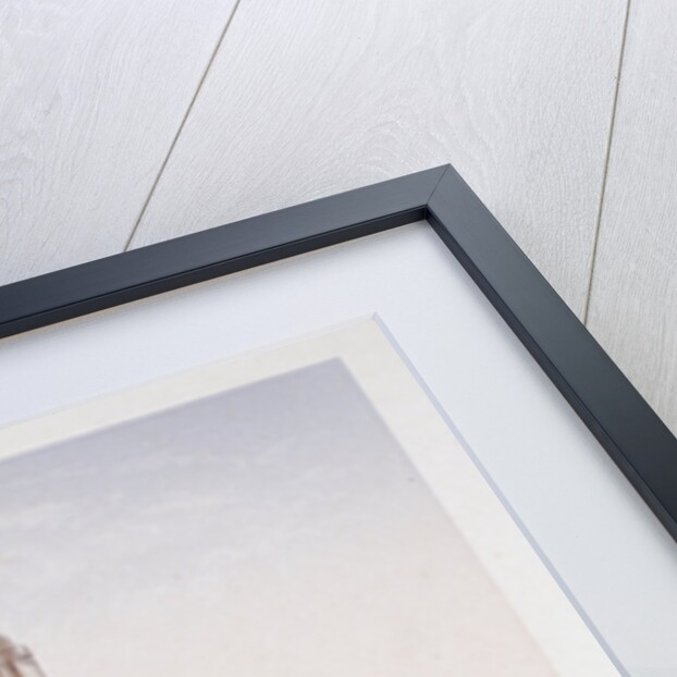 St Paul's Cathedral (new), London by Charles Riviere