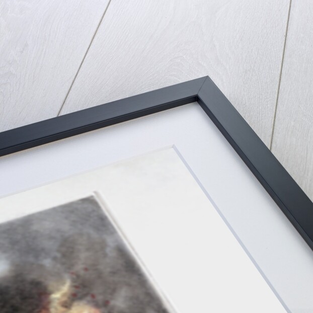 Destruction of the Royal Exchange' (2nd) fire, London by W Clerk