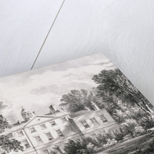 Notting Hill, Kensington, London by Emma Shepheard