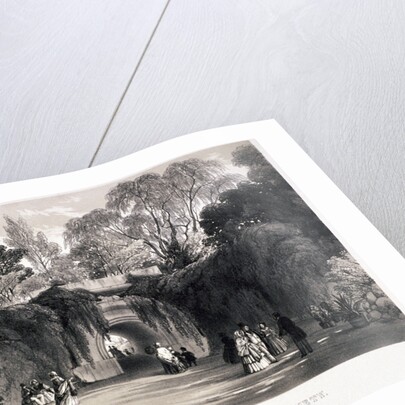 Zoological Gardens, Regent's Park, Marylebone, London by FW Hulme