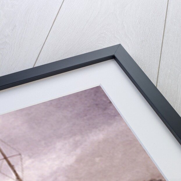 Vine Tavern, Mile End Road, Stepney, London, (c1883?) by John Crowther