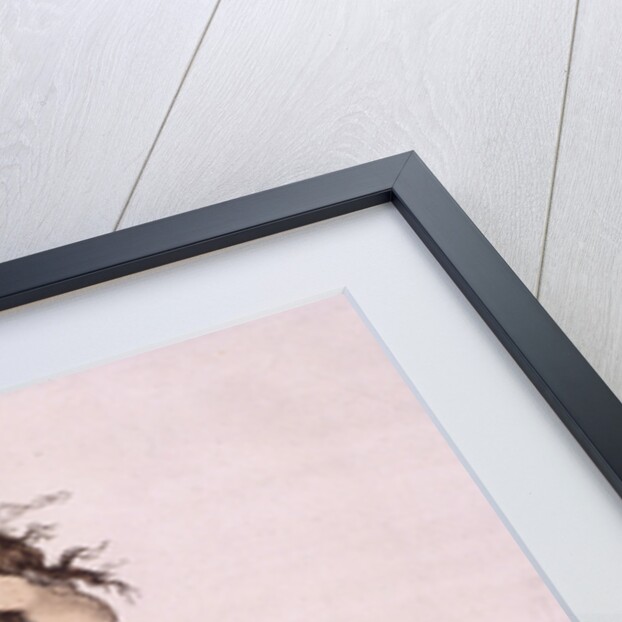 The Lady of the Lake... by Anonymous