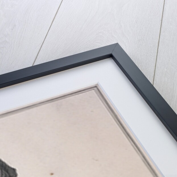 Buy my Dutch Biskets, Cries of London, (1688?) by Anonymous