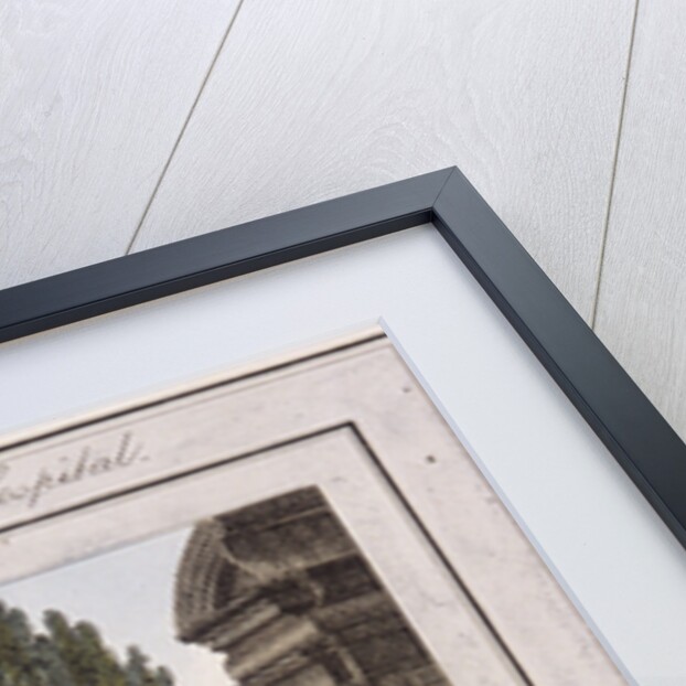 Cat's and Dog's Meat!, Cries of London by Anonymous