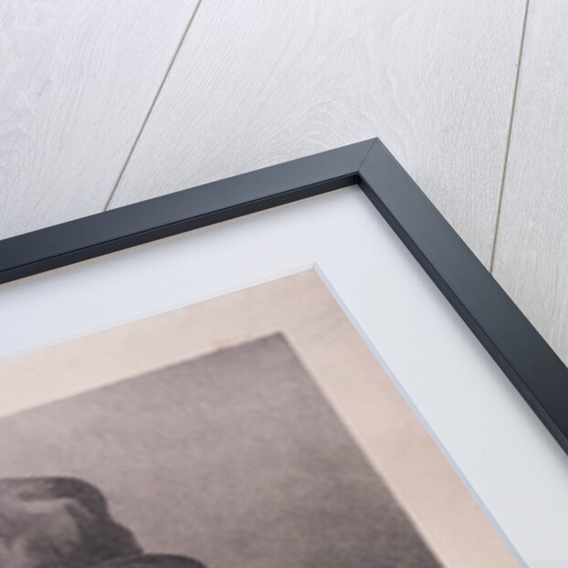 Dick: A well known character in the Westminster and Blackfriars Roads by H Barnett