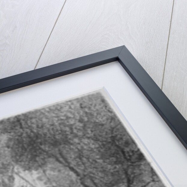 Middle Temple Hall, Middle Temple, City of London by Samuel Rawle