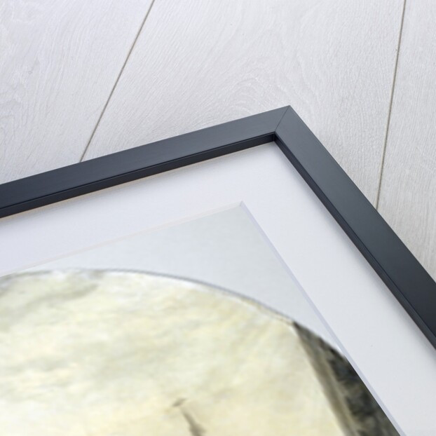 Design for the new Royal Exchange by Frederick Mackenzie