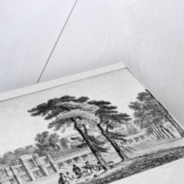 Greenwich Park, Greenwich, London by Chapman & Co