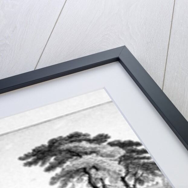 Greenwich Park, Greenwich, London by Chapman & Co