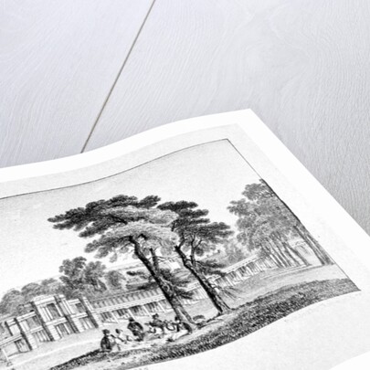 Greenwich Park, Greenwich, London by Chapman & Co