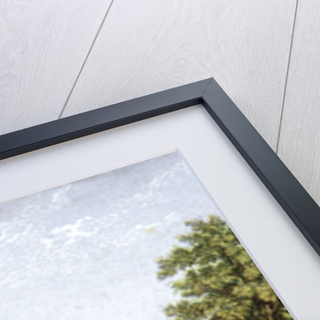 Greenwich Park, Greenwich, London by Anonymous