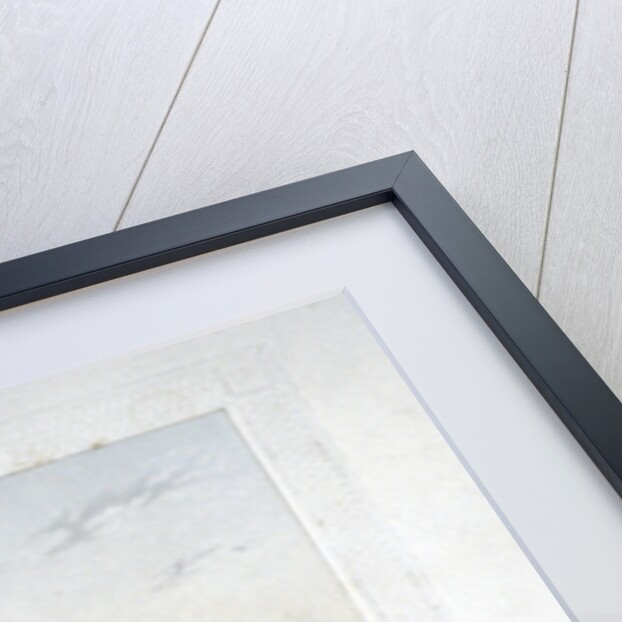 Site of the 1862 International Exhibition, Cromwell Road, Kensigton, London by Anonymous