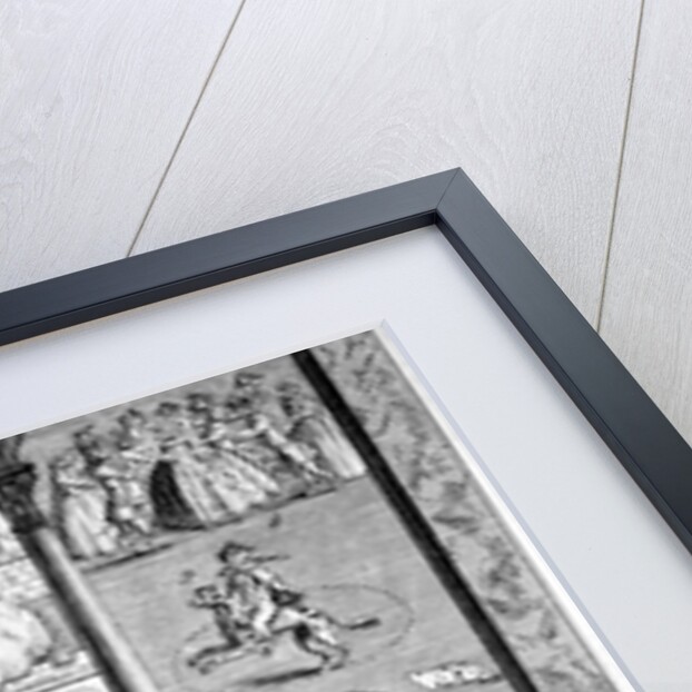 Mrs Midnight's Animal Comedians by Anonymous