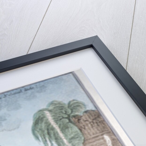 John Bull and the sinking fund by James Gillray