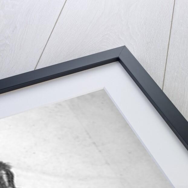 Statue of King Charles I, located at Charing Cross, Westminster, London by Anonymous