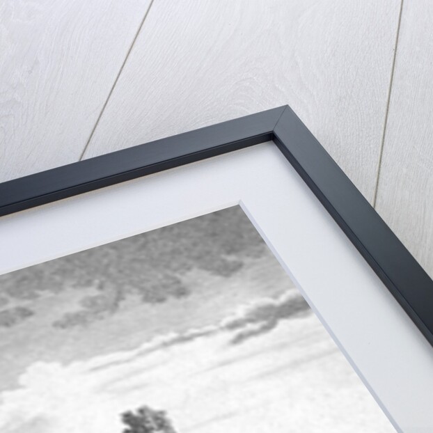 Bartlow Hills near Ashdon in Essex by Anonymous