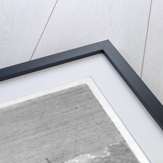 Brunswick Dock, Blackwall, London by Anonymous