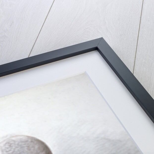 Samuel Wilson, Lord Mayor 1838 by Richard Dighton