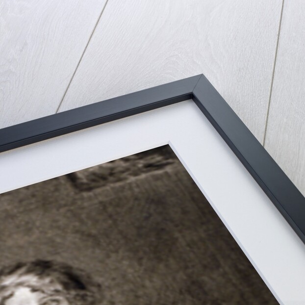 Small Girl Feeding Doves by Anna Lea Merritt