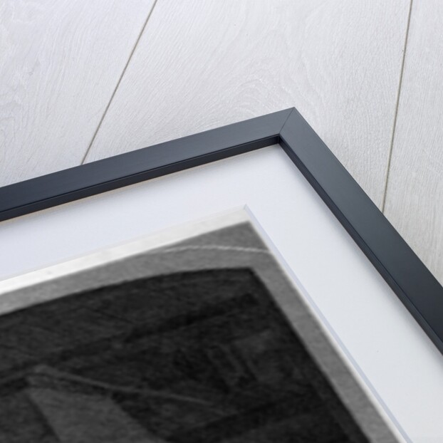 The Merry Companions by Anonymous