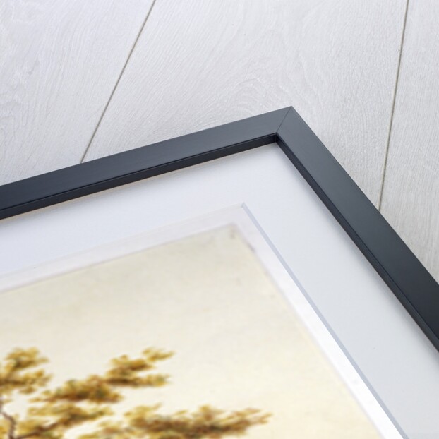 Farm in Kilburn Park, Edgware Road, Paddington, London by Anonymous