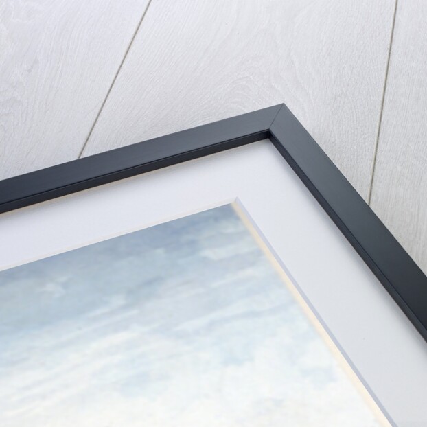 Bagnigge Wells tea gardens, Battle Bridge, London by Anonymous