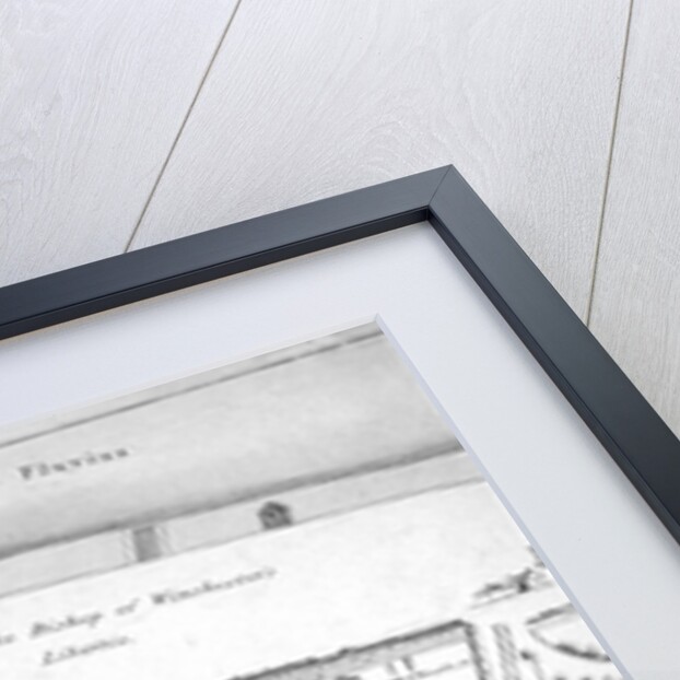 Plan of Bankside, Southwark, London by Anonymous