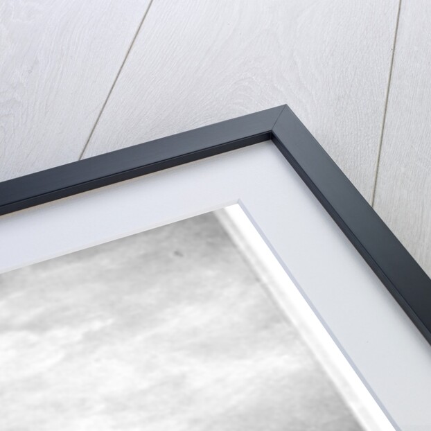 Stockwell Grammar School, Lambeth, London by George Barnard