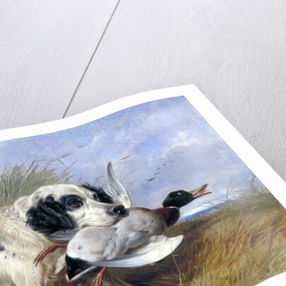 Dog with Wild Duck by Richard Ansdell