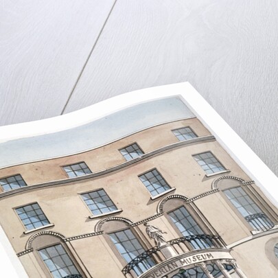 Front view of the Leverian Museum, Albion Place, Southwark, London by Anonymous