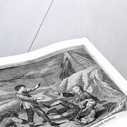 The Humorous Diversion of Sliding on the Ice by Benjamin Cole