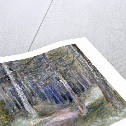 In a Wood by Anna Lea Merritt