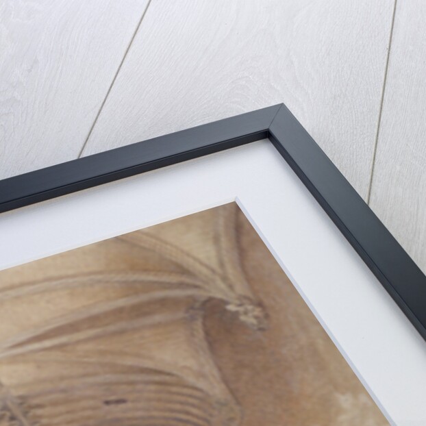 Rolls Chapel, Chancery Lane, London by John Crowther