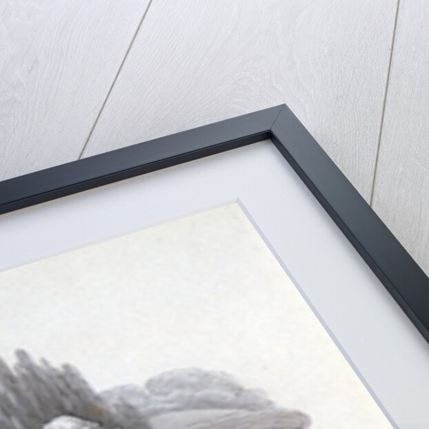 Two Youths contemplating Statues of Demosthenes, Cicero and Pitt by Edward Francis Burney