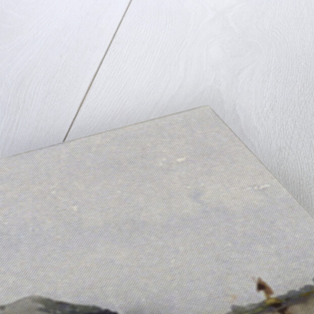 Point Sikree Gully, Rajmahal Hills by William Clerihew