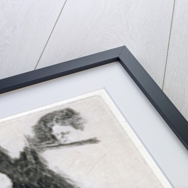 Lady in Elizabethan Dress by Charles Samuel Keene