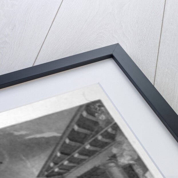 Morning by J Mollison