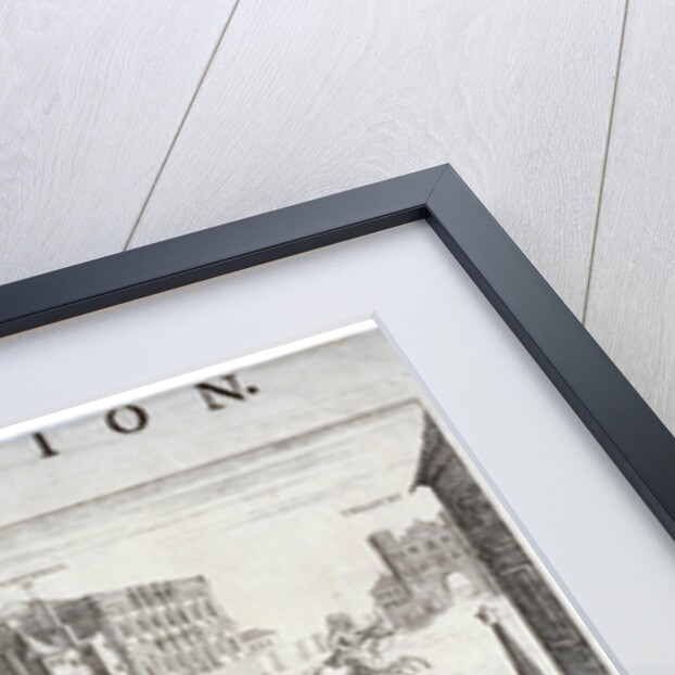 The Motion by Anonymous