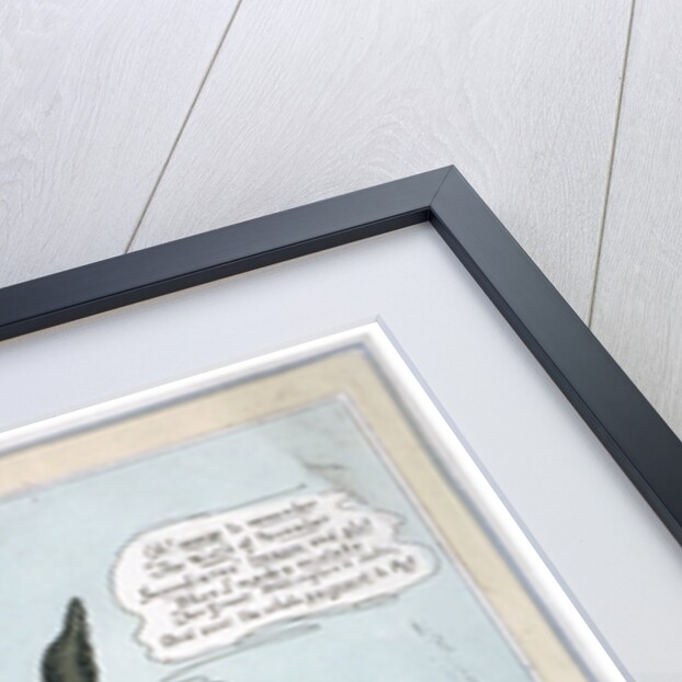 The mare's lamentation, or the self-willed Don-Key by John Phillips