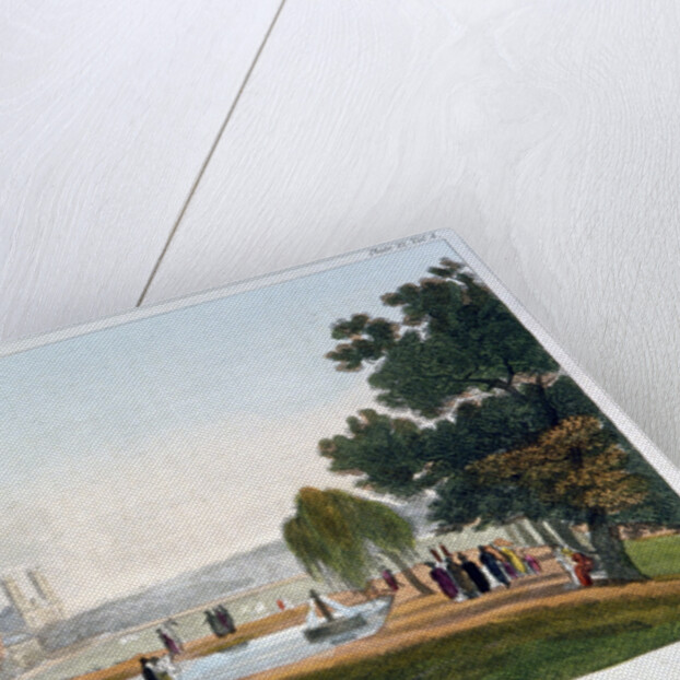 Green Park, Westminster, London by Anonymous