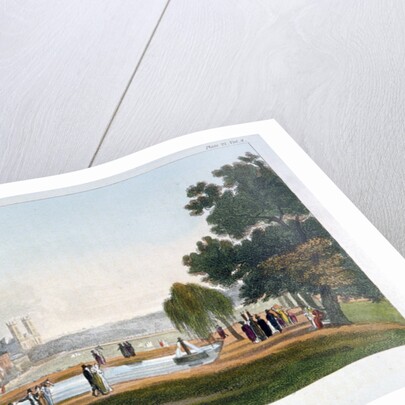 Green Park, Westminster, London by Anonymous