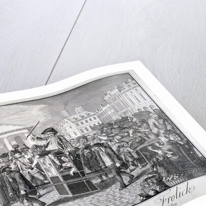 The Cov: Garden Morning Frolick by LP Boitard