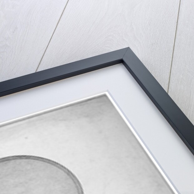 Sir Isaac Newton's house and observatory, 35 St Martin's Street, Westminster, London by George Scharf